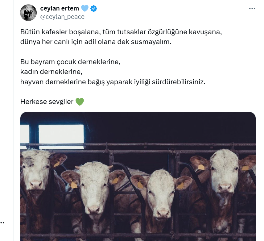 Ceylan Ertme
