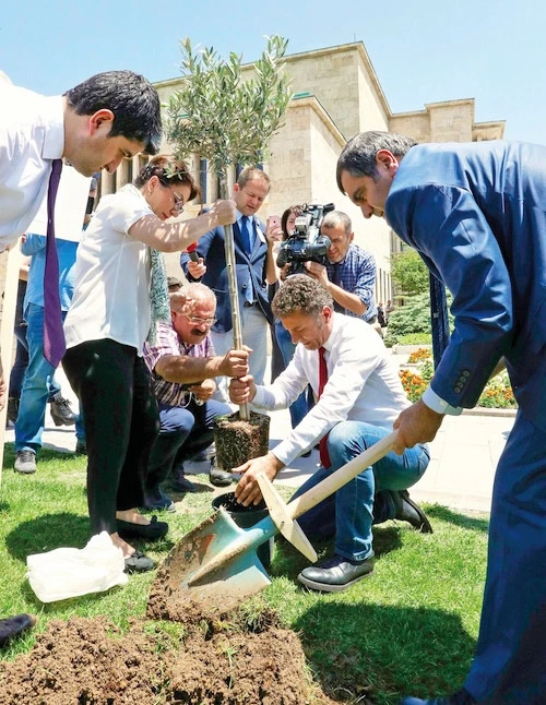 05 Zeytin Agaci Xpk9
