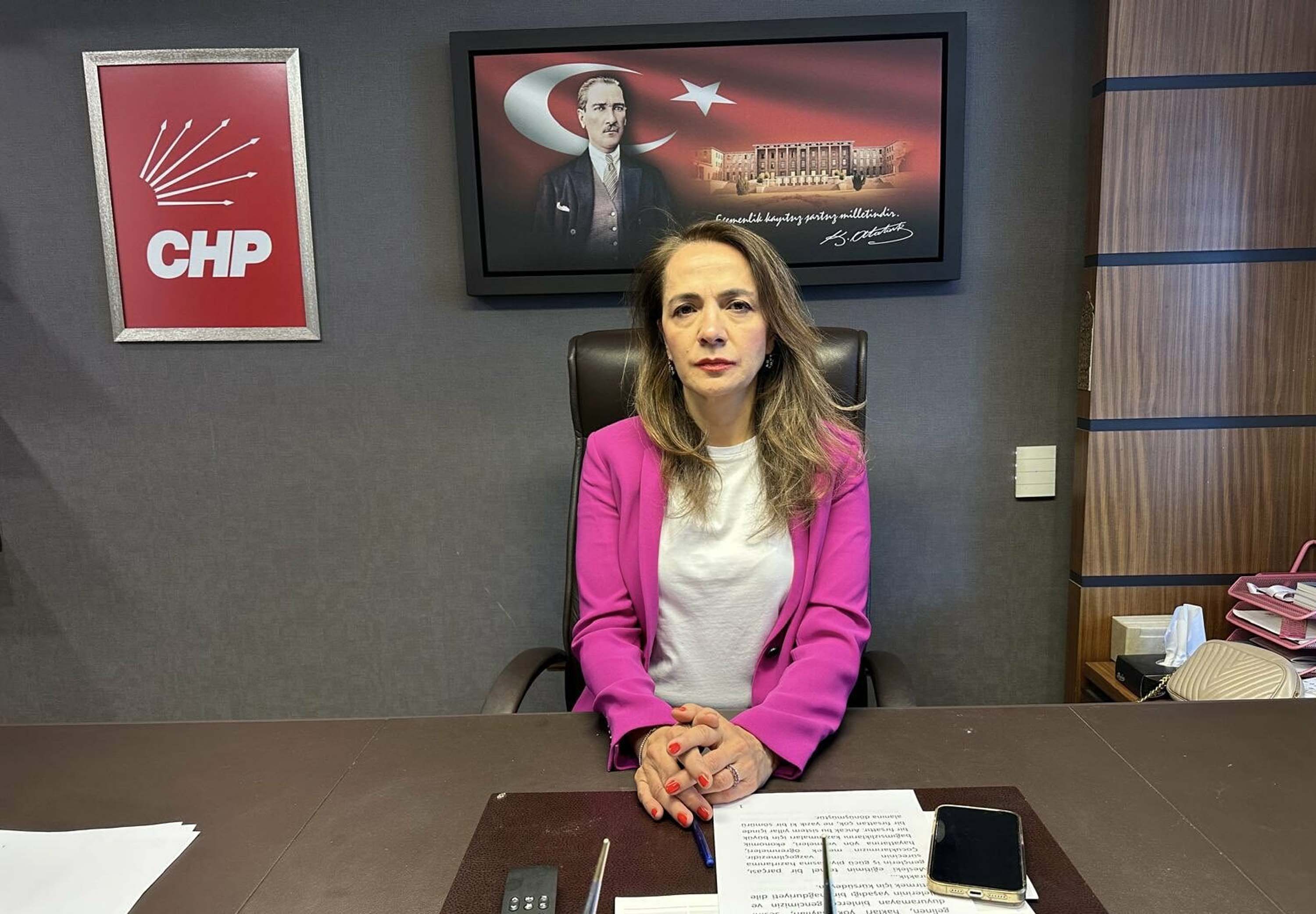 Chp Istanbul Milletvekili Ilgezdi Canak 804174 238051