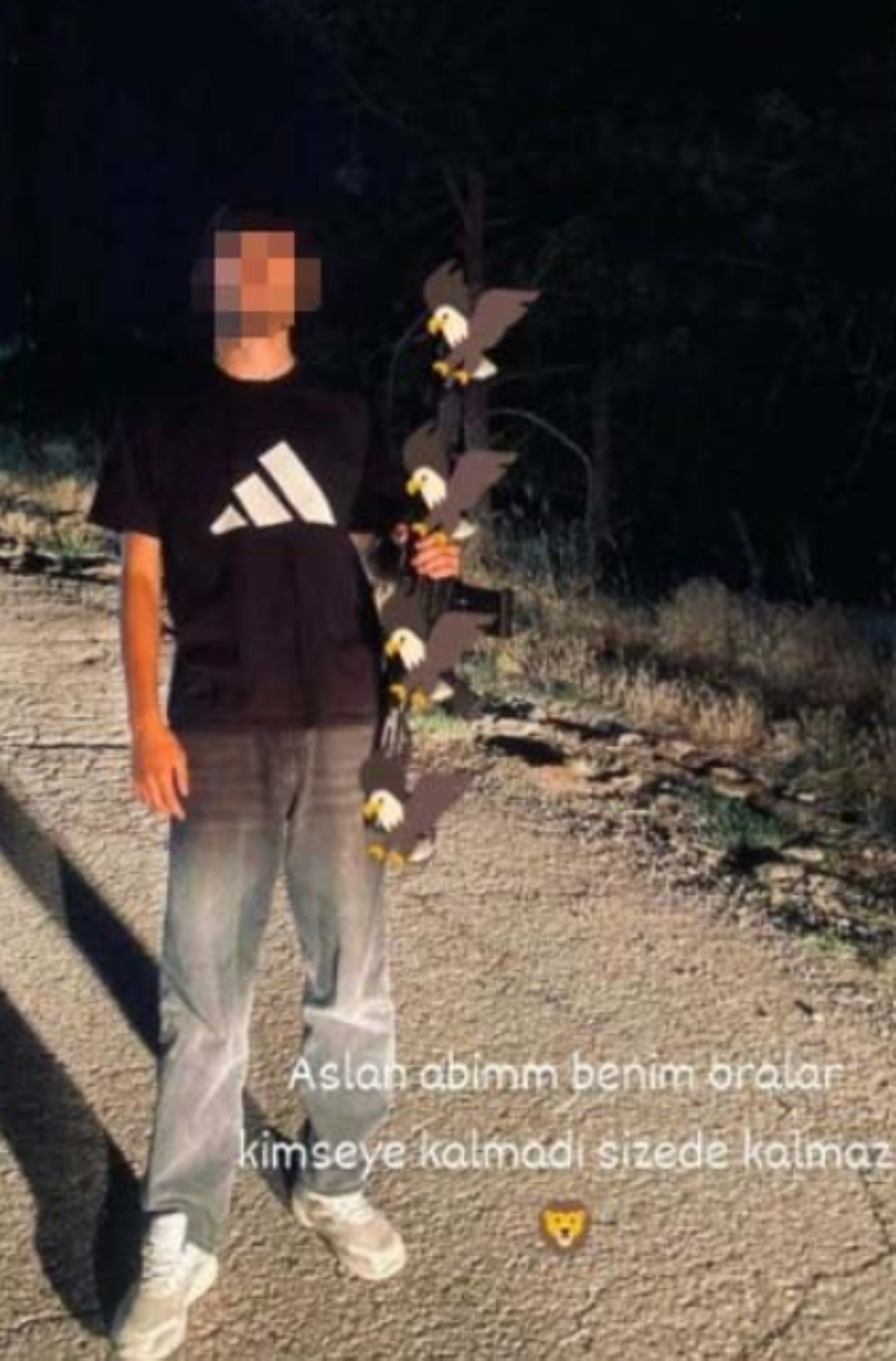 A1-55