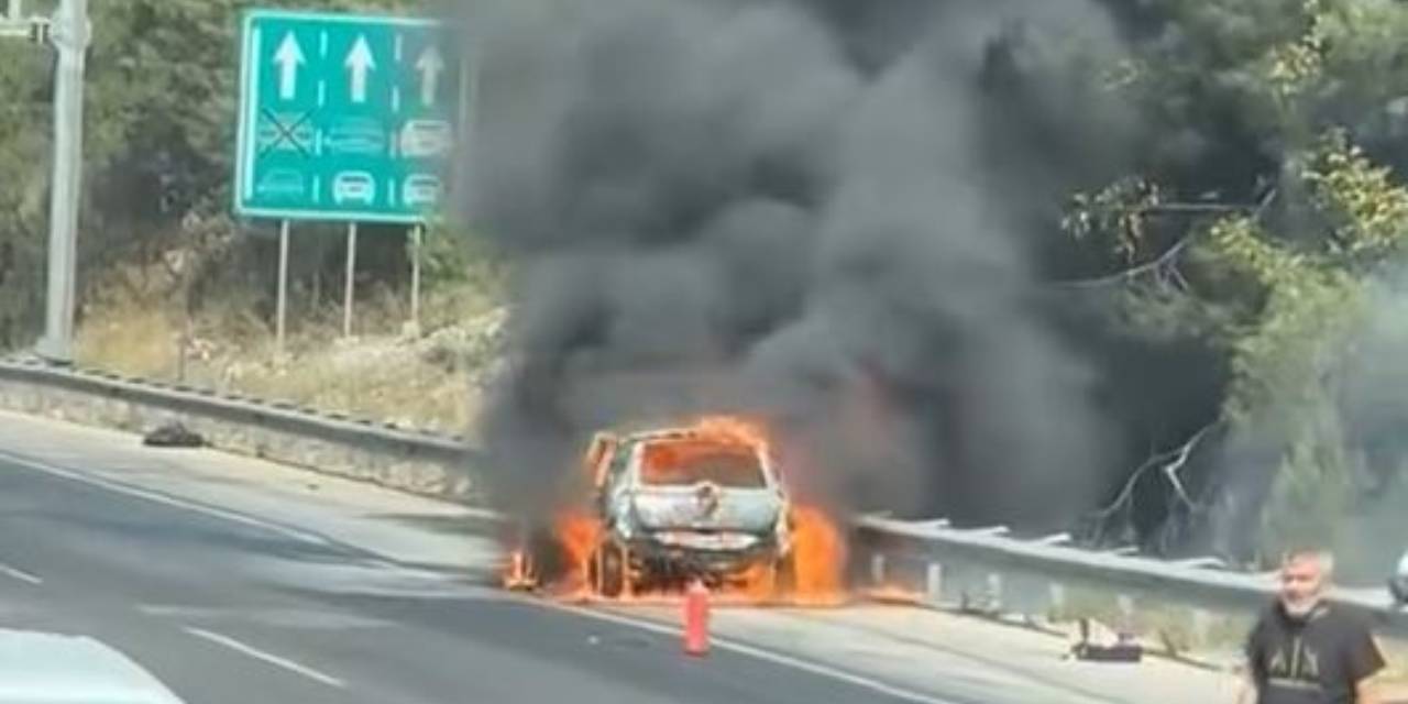 Adana Orman Yangini 2 1