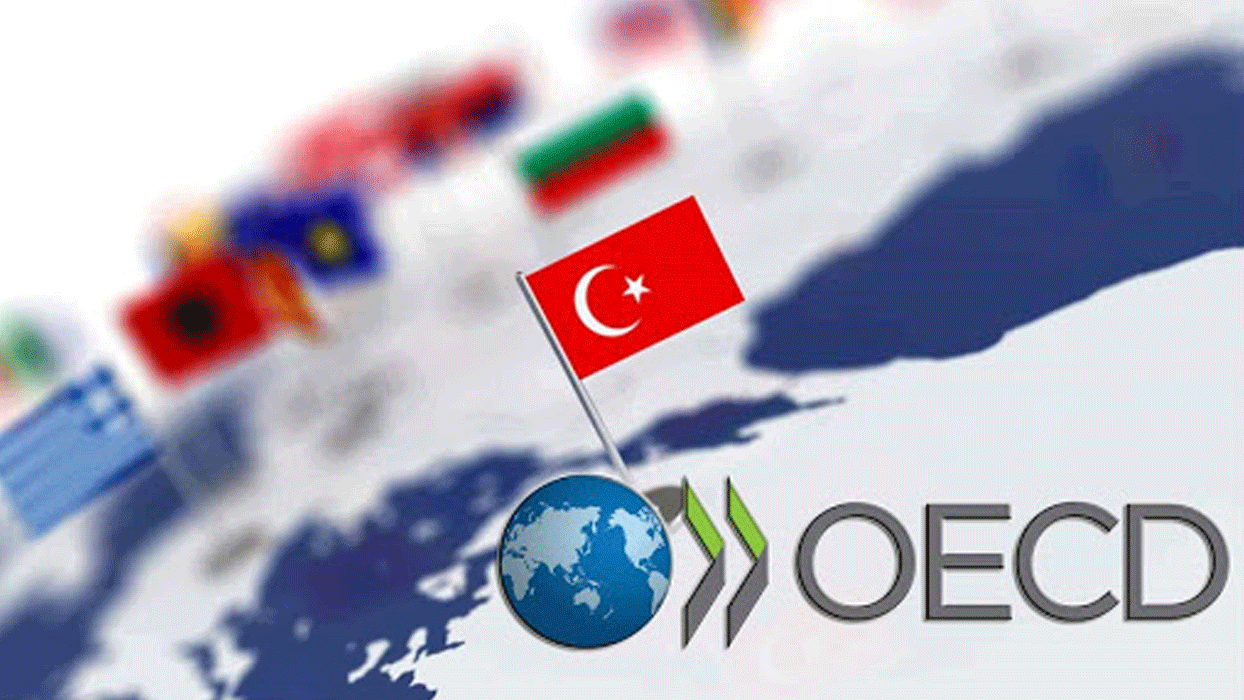 OECD Türkiye için enflasyon tahminini güncelledi