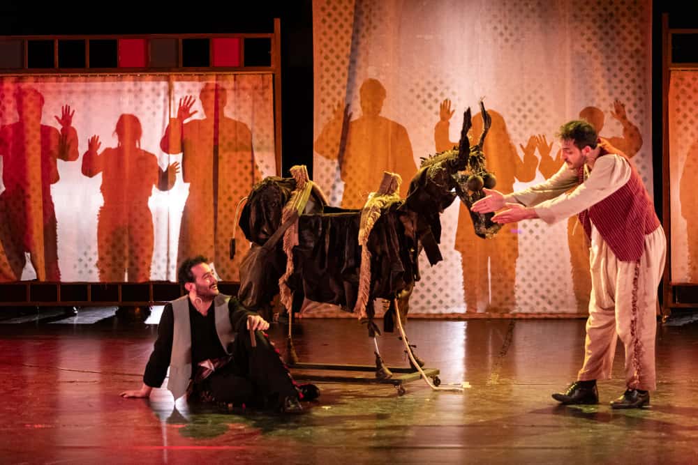 Eşeğin Gölgesi (3)