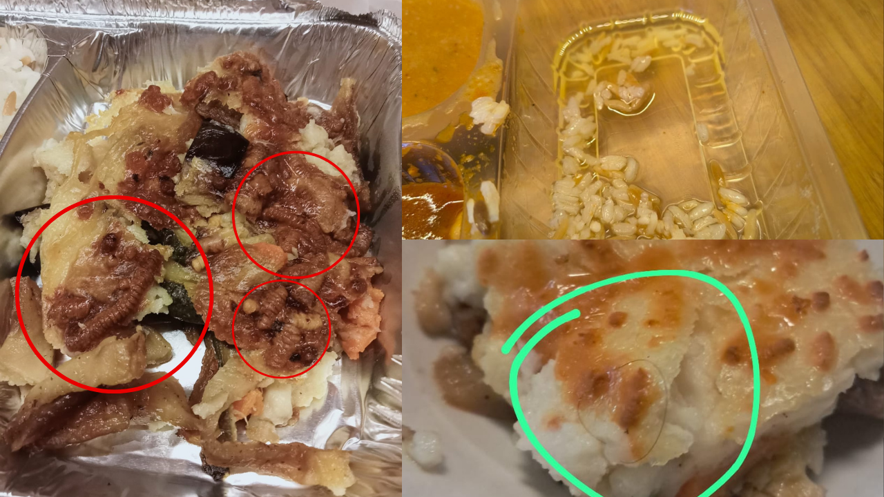 KYK yurdunda verilen 'kurtlu' yemek mide bulandırdı! Üstelik bu ilk değil...