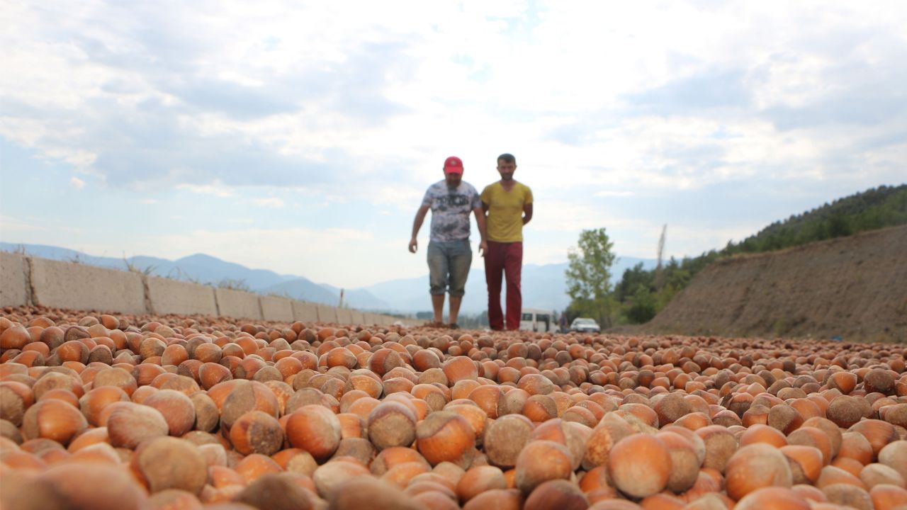 Çikolata devi ile anlaşılamadı… Türkiye'den almayacak!