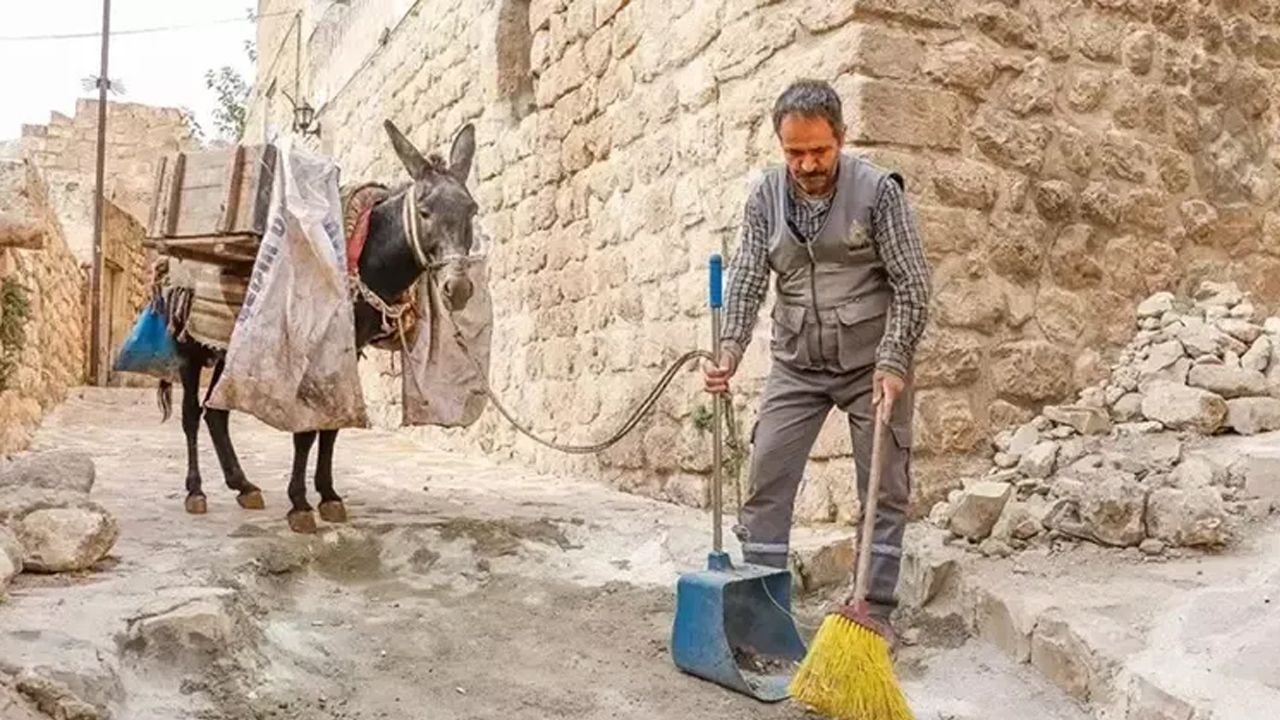 Kadrolu eşekler artık emekli!