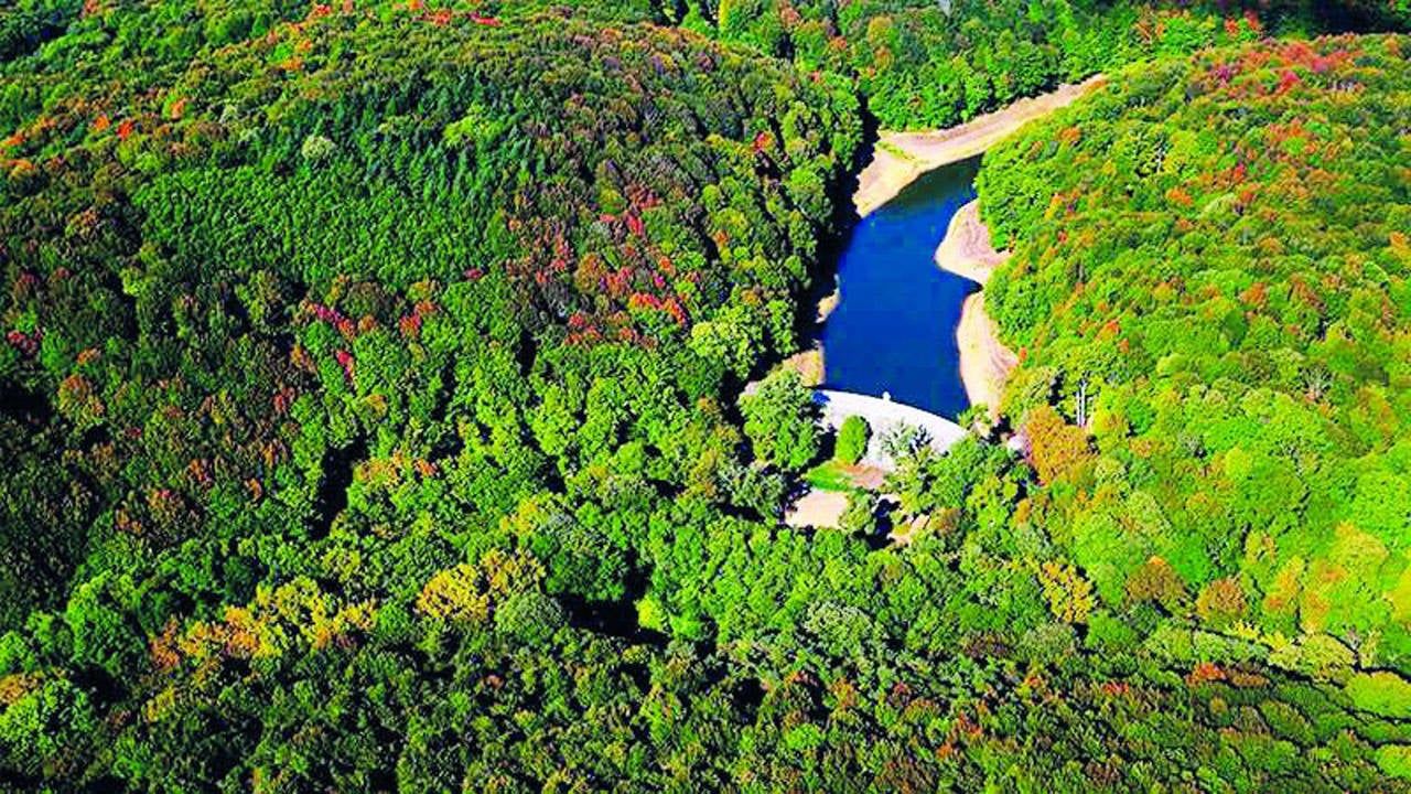 O yasa, Belgrad Ormanı’nı da yok edecek!