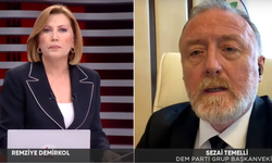 AKP'nin infaz düzenlemesine DEM'den ilk tepki: "Dağ fare bile doğurmadı"