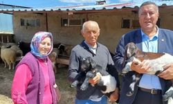 CHP'li Gürer: "İktidar, hayvancılığı desteklemek yerine çareyi ithalatta arıyor"