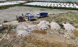 Kuş Cenneti'ne kamyon kamyon çöp dökmüşler!