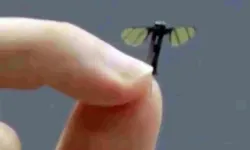 Sivrisinekten farksız mini drone! Savaş alanları ve operasyonlarda kullanılması amaçlanıyor