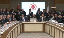 Zeytinlikleri madencilik faaliyetine açacağı için eleştirilmişti: Komisyonda aktivistler de dinlenecek