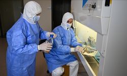 Türkiye'nin ilk deri bankası ve doku laboratuvarı açıldı
