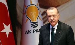 Yüzde 70'i karşı çıkıyor: Anketlerde "Ömür boyu Cumhurbaşkanlık mı olur?" sonucu