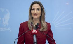 CHP’li Nazlıaka: “Çocukların çığlıkları 'canına kıyma kastı yok' denilerek sistematik sorunlar görmezden gelinemez"
