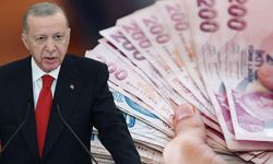 Erdoğan duyurdu: "Çiftçilerin zararları Kasım'a kadar karşılanacak"