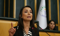 DEM Parti Eş Genel Başkanı Hatimoğulları: "CHP üzerinde farklı operasyonlar gerçekleşiyor"