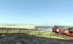 Diyarbakır'da 1000 hektarlık alanı kül eden yangın