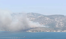 İzmir'in Karaburun ilçesinde orman yangını