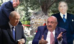 AKP’li Tuğrul Türkeş’ten MHP lideri Bahçeli’ye sert sözler