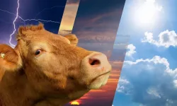 4 günlük bayramda nerede yağmur yağacak nerede güneş açacak