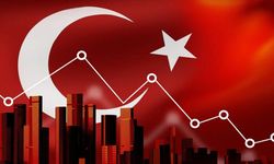 OECD'den kritik rapor: Türkiye büyüme tahmini düşürüldü!