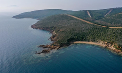 Deniz kıyısındaki ormanlık alanlar da turizme açılacak
