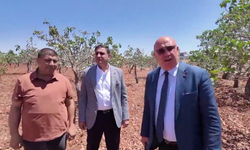 Mahmut Tanal, Halfeti'nin feryadını dile getirdi: Su var ama suyu getiren devlet yok
