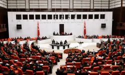 Meclis’te Kürtçe "Allah belanızı versin" dedi ve ortalık karıştı