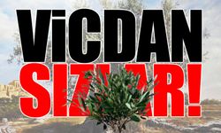 26 saatte komisyondan geçti: Zeytine kıydılar!