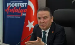 Tutuklu Muhittin Böcek'in yerine seçilecek başkanvekili için seçim tarihi belli oldu