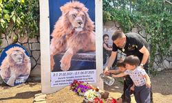 Aslan Zeus'un öldürülmesine ilişkin suç duyurusu
