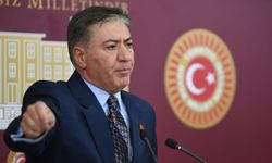 CHP'li Emir, 'zeytinlik yasası' üzerinden AKP'ye tepki gösterdi: Halkın ağacını şirketlere sattı!