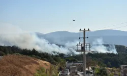 İzmir yine yangınla sınanıyor: Alevler yola indi