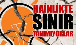 AKP'de ikinci "Yeliz" vakası: Cumhuriyet'e kin kustu