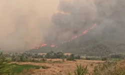 Sakarya’da başladı, Bilecik’e sıçradı: Yangının 4’üncü gününde 300 haneye tahliye
