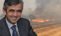 AKP'li eski ilçe başkanı tutuklandı: Silivri'de 100 hektar alanı yok eden yangına sebep oldu...