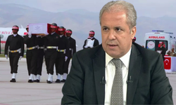 AKP'li Şamil Tayyar şehit haberleri sonrası 'süreci' sorguladı: ""Zihinleri allak bullak etti"