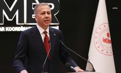 Bakan Yerlikaya: "Orman yangınlarında 184 konut hasar gördü"