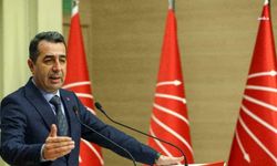 CHP'li Adem'den 'yangın' açıklaması: Bir an önce 'Yeşil Seferberlik' ilan edilmeli