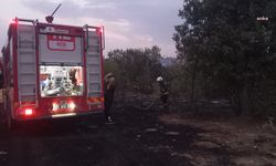 Diyarbakır’da çıkan yangında 35 hektarlık alan etkilendi