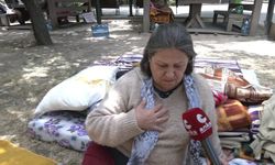 Meclis'in yanı başında zeytin nöbeti: "Türkiye’yi yok etsinler.  Zeytin, meyve olmazsa Türkiye olmaz"