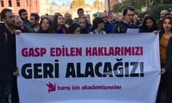 Son Dakika... Barış akademisyenleri hakkında flaş karar