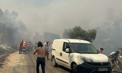 Aydın Efeler’de orman yangını!