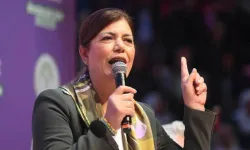 DEM Parti HDK Eş Sözcüsü Beştaş'tan operasyon tepkisi: "Barış ve demokratik toplum sürecini zehirlemektedir"