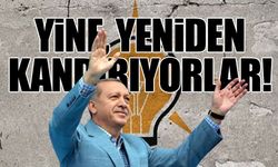 Erdoğan'a gelen anketler farklıymış... "AKP birinci parti" dedi!
