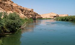Fırat Nehri can aldı