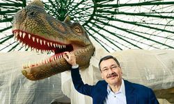Herkes aynı kişiyi işaret ediyor... Ne yaptı bu Melih Gökçek?