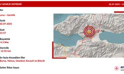 Bursa Gemlik'te 4.3 şiddetinde deprem: İstanbul'dan da hissedildi