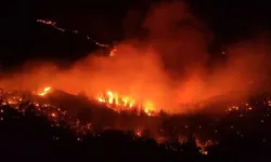 Hatay'da korkutan orman yangını